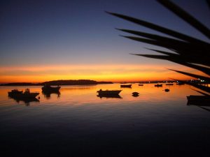PORTO CESAREO 1