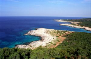 PORTO SELVAGGIO