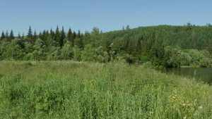 Summer_Siberia_Russia_436577