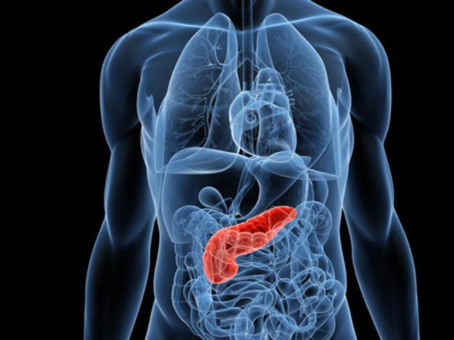 pancreas tumore cancro
