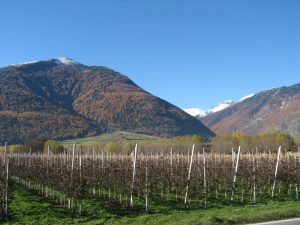 agricoltura (1)