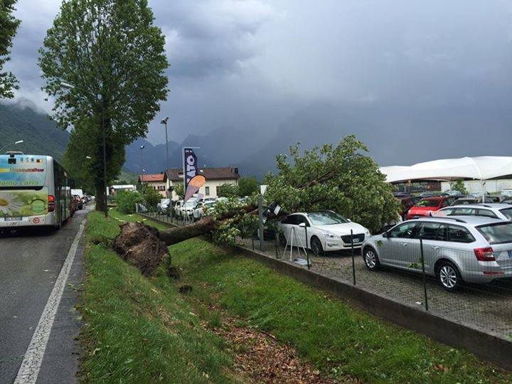 maltempo arezzo tromba d'aria