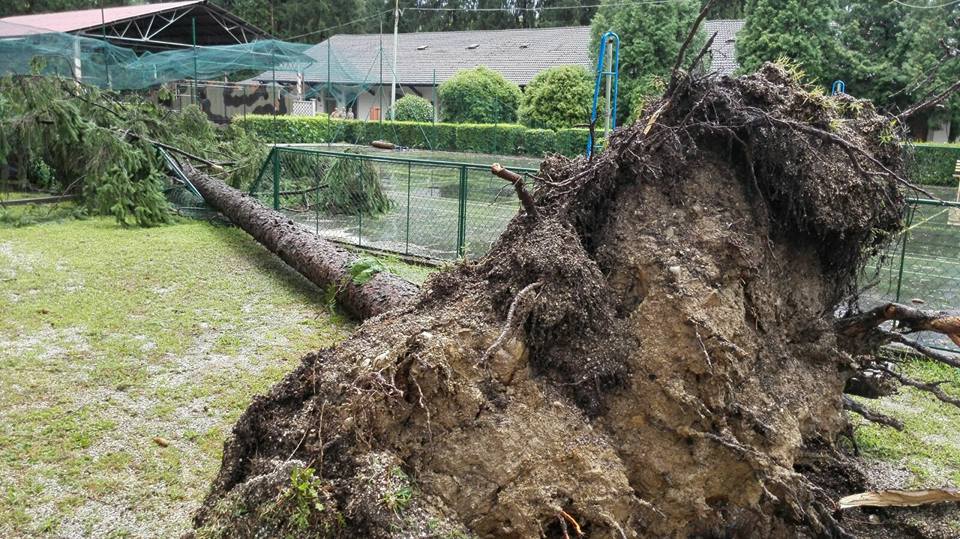 maltempo arezzo tromba d'aria