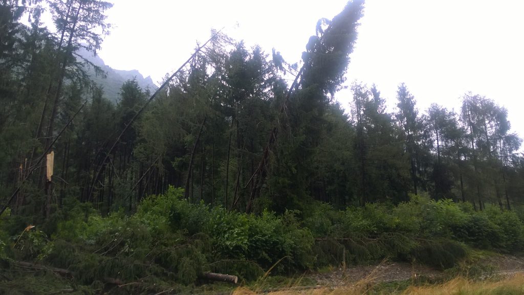 maltempo arezzo tromba d'aria