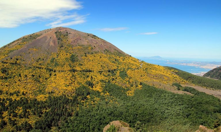 un-mare-di-ginestre-un-panorama-mozzafiato-sul-vesuvio-gallery