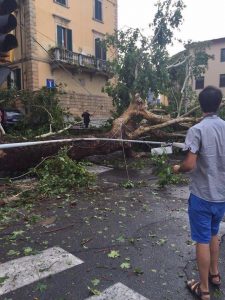 maltempo arezzo tromba d'aria