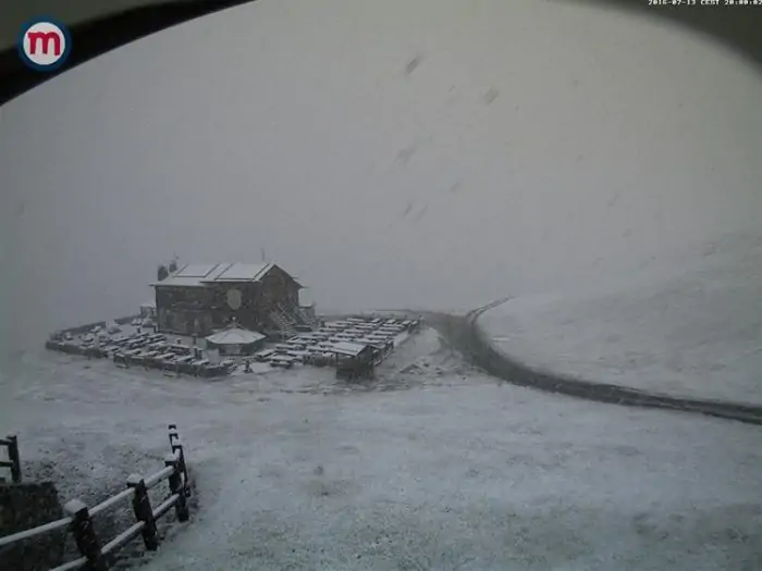neve