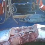 Enorme squalo bianco nello Stretto di Messina, paura sulla feluca: pesce spada dilaniato [GALLERY]