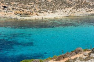 COMINO 2