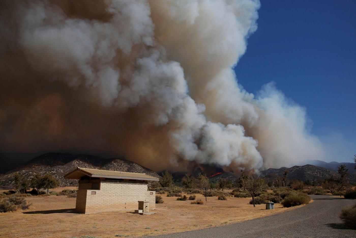 Incendi In Toscana Distrutti 170 Ettari Di Boschi