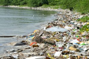 Plastic on Beach