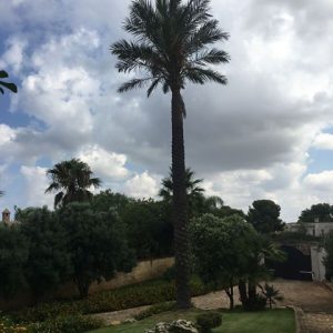 Marsala