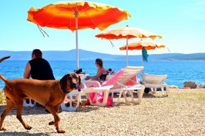 dog friendly beach and bar_Crikvenica_by Tourist Office of Crikvenica city (3)