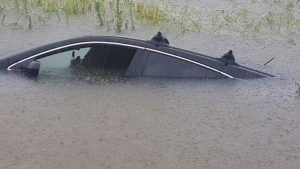 louisiana6