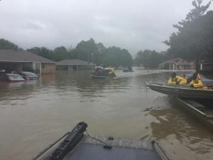 louisiana8