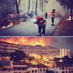 Madeira messa in ginocchio dagli incendi: il Portogallo chiede aiuto all’Europa [GALLERY]