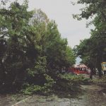 Maltempo Veneto: temporale pazzesco a Conegliano, città devastata [GALLERY]