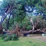 Maltempo, temporali furiosi al Nord: vento fino a 140km/h, devastazione in pianura Padana [GALLERY]