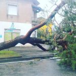 Maltempo, temporali furiosi al Nord: vento fino a 140km/h, devastazione in pianura Padana [GALLERY]