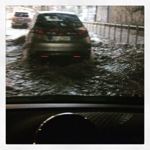 roma