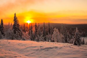 571254_laplandskiy-zakat_zima_derevya_peyzaj_4272x2848_www.Gde-Fon.com
