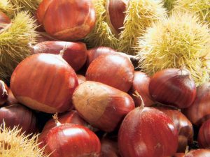 CASTAGNE 2