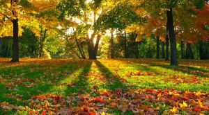 EQUINOZIO AUTUNNO 1
