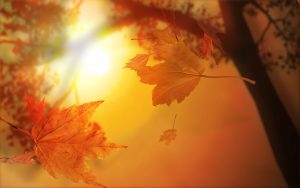 EQUINOZIO AUTUNNO 2