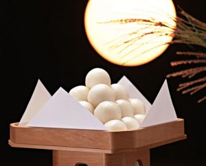 OTSUKIMI