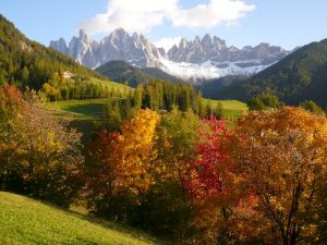 PARCO NAZIONALE ABRUZZO