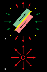 fig1