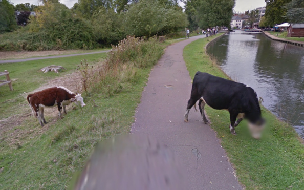 google maps