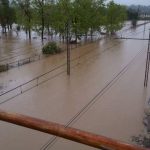 Maltempo in Puglia, rete ferroviaria disastrata da acqua e fango: molti ritardi e cancellazioni [FOTO]