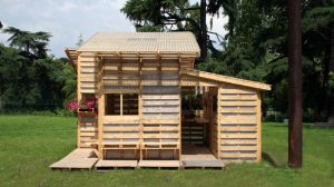CASE IN PALLET 2