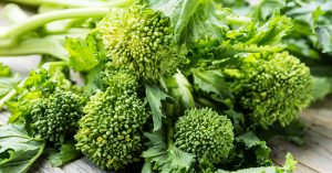CIME DI RAPA 1
