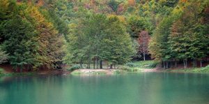 CORNO ALLE SCALE 2