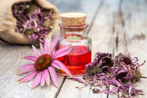 ECHINACEA