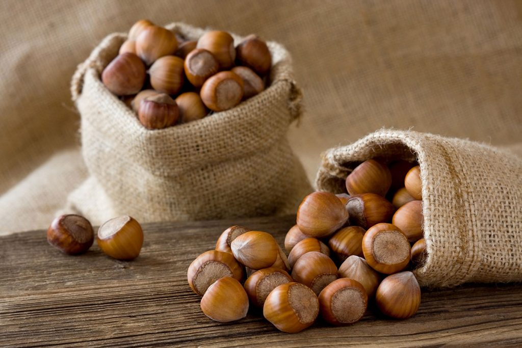 nocciole