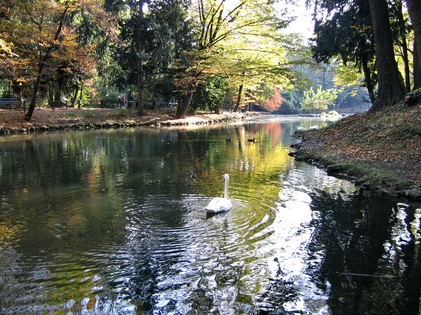 Il Parco Di Monza Luogo Ideale Per Ammirare I Colori Dell autunno