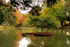 PARCO DI MONZA