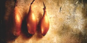 SCALOGNO 1