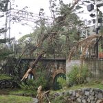 La Liguria flagellata dalla furia del vento: feriti, treni bloccati e danni [GALLERY]