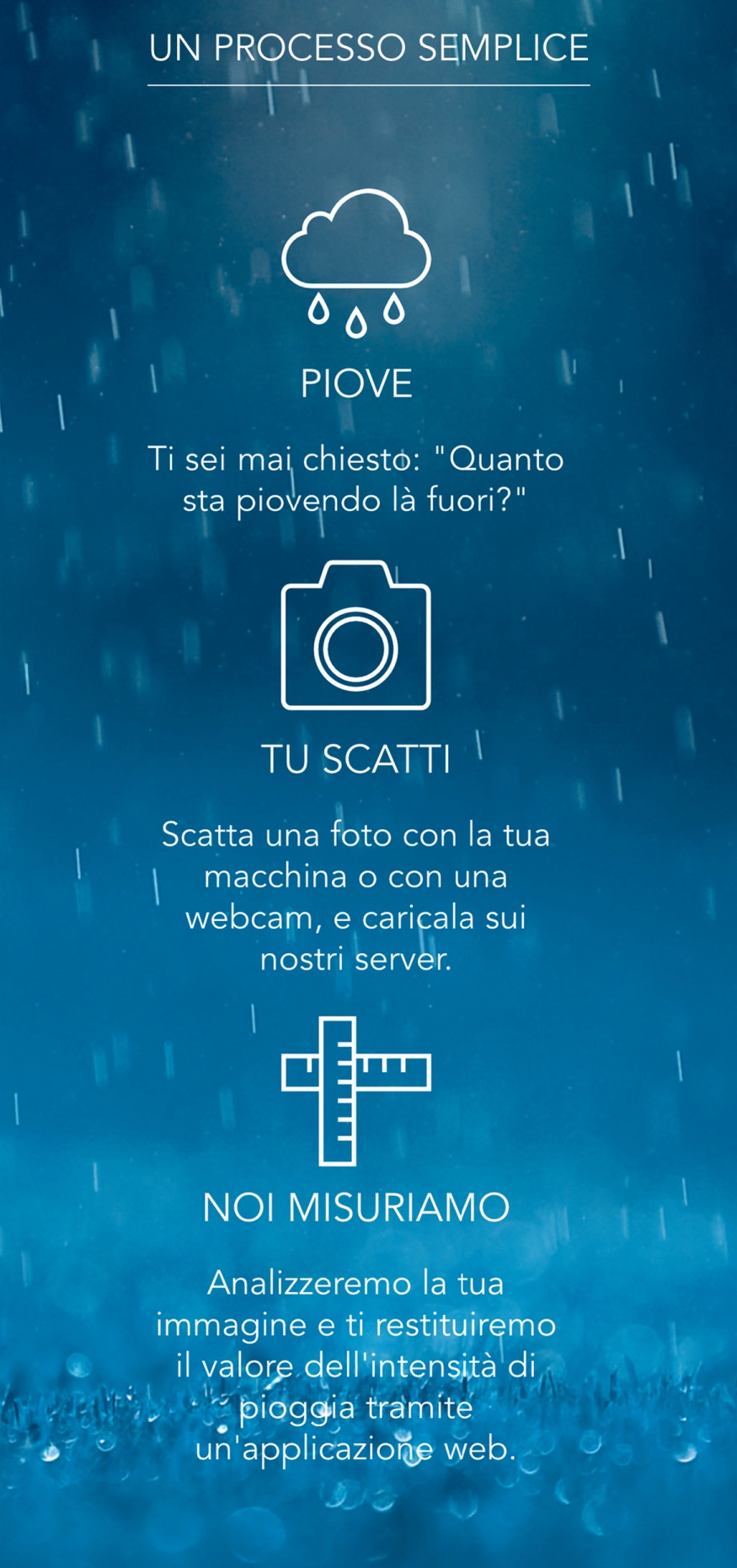 Fronte.jpg
