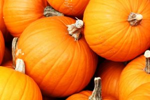 ZUCCA OTT 2