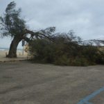 Maltempo, Sicilia sud/orientale flagellata dal ciclone jonico: blackout e devastazione ad Avola [FOTO LIVE]