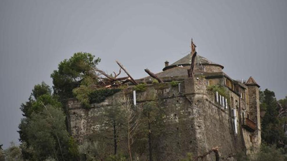castello brown
