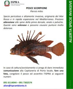 ispra allerta specie invasive
