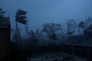 Trees sway with the wind during Hurricane Matthew in Les Cayes, Haiti, October 4, 2016. REUTERS/Andres Martinez Casares - RTSQRU6