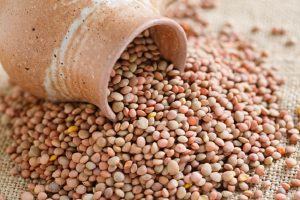 lenticchia