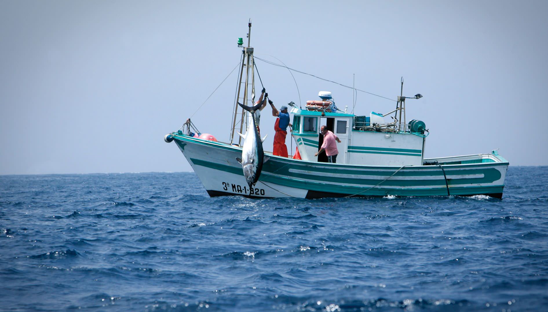 Pesca, i divieti fanno bene al mare e al pescatore: lo studio